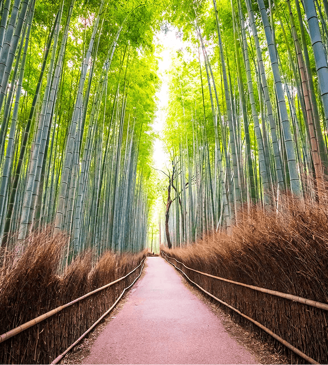 Luxury travel destination planning with Haegmon Travels